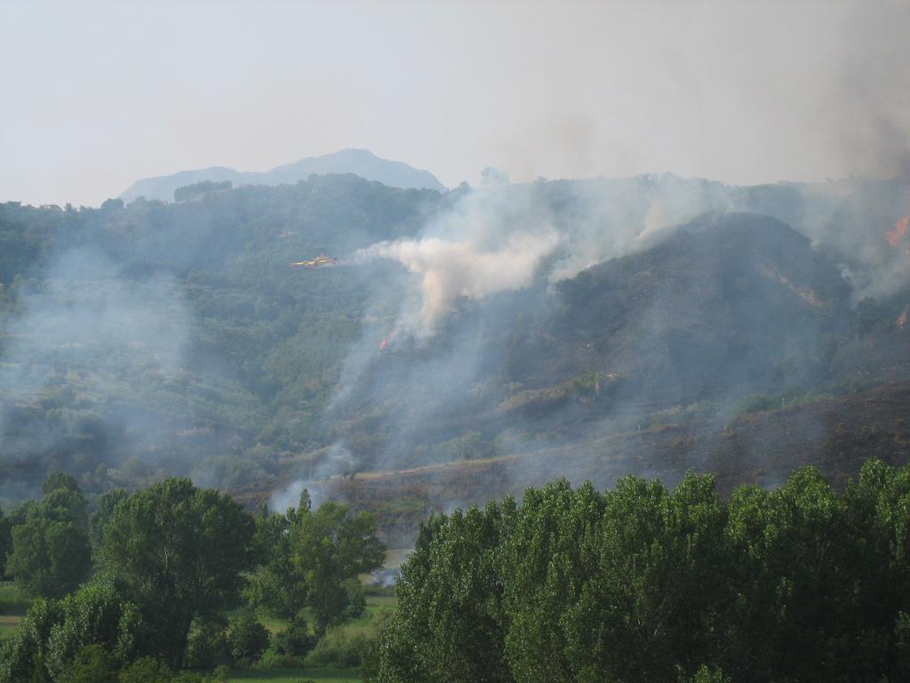 incendio aiello-lago 21 luglio 5.JPG